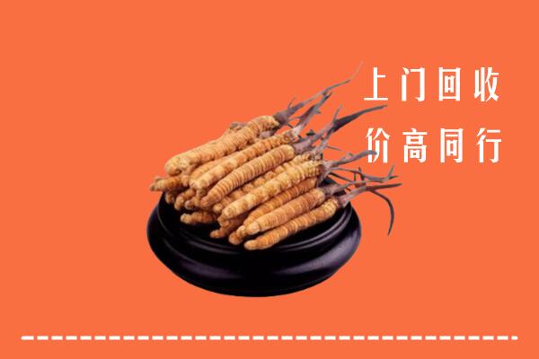 高价求购：柘城县回收散虫草