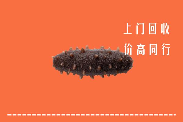 柘城县回收海参