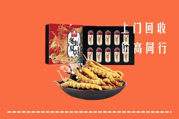 柘城县回收虫草